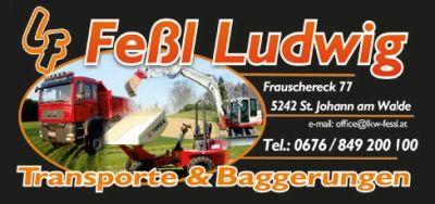 Feßl Ludwig Logo